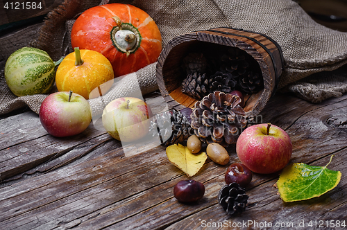 Image of Autumn harvest of apples and pumpkins