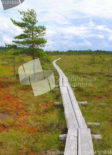 Image of Duckboards at Torronsuo National Park, Finland