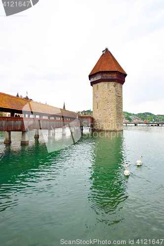 Image of Chapel Bridge and two swans in Lucerne