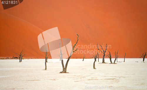 Image of Sossusvlei, Namibia