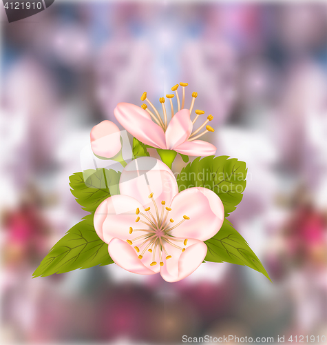 Image of Cherry Blossom, Blur Nature Background