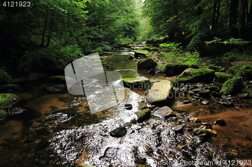 Image of river in the green spring forest