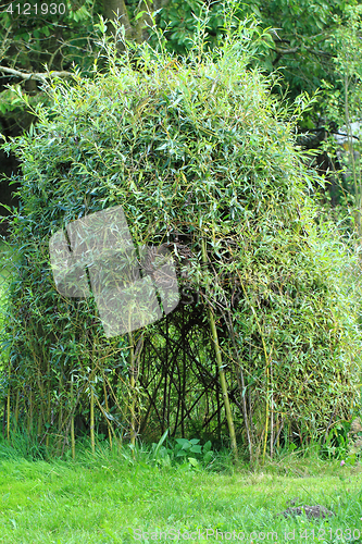 Image of wicker house from green plants