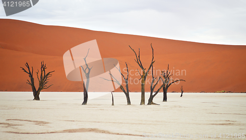 Image of Sossusvlei, Namibia