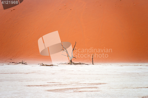 Image of Sossusvlei, Namibia