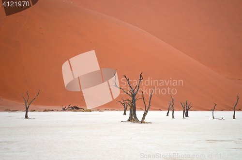 Image of Sossusvlei, Namibia