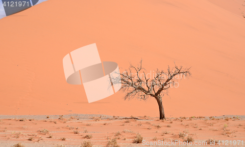 Image of desert landscape