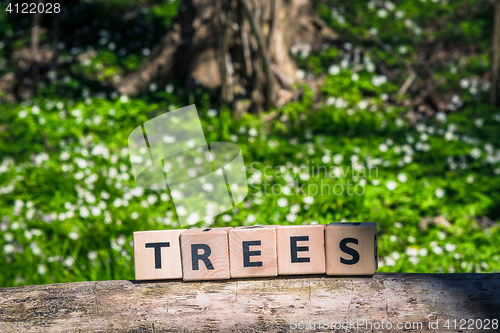 Image of Tree sign in a green forest