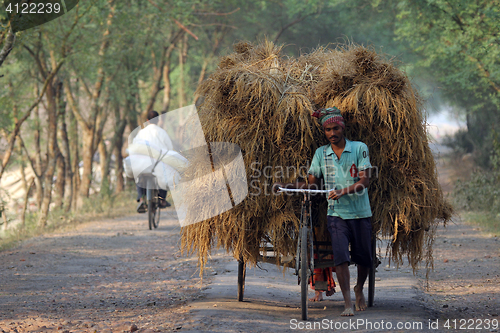 Image of Rickshaw rider transports rice from the farm home in Baidyapur, West Bengal, India