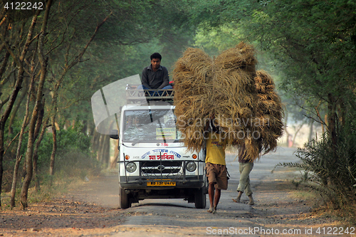 Image of Farmer carries rice from the farm home in Baidyapur, West Bengal, India