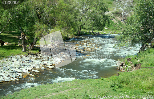 Image of mountain river flows in forest under bias