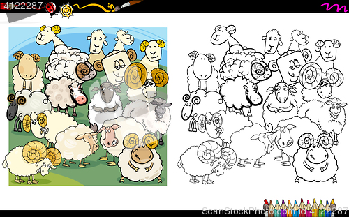 Image of sheep characters coloring book