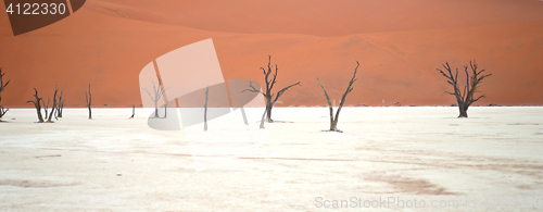 Image of Sossusvlei, Namibia