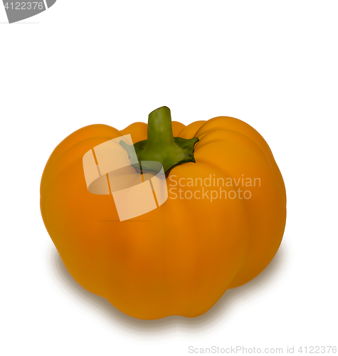 Image of Photo Realistic Pumpkin Vegetable