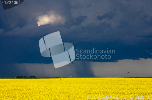 Image of Storm Clouds Saskatchewan