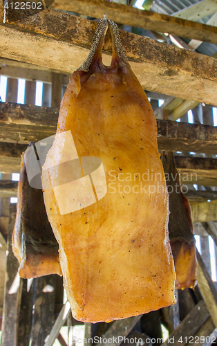 Image of Iceland\'s fermented shark