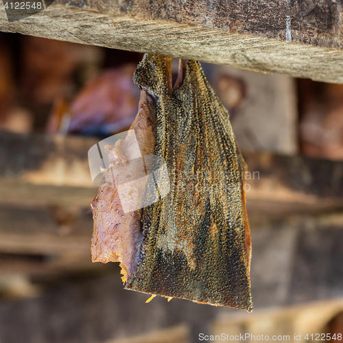 Image of Iceland\'s fermented shark