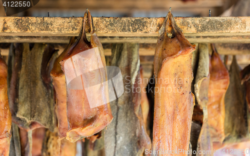 Image of Iceland\'s fermented shark