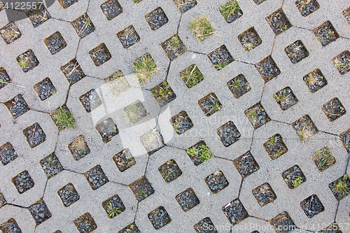 Image of Paving-stone in a lattice shape