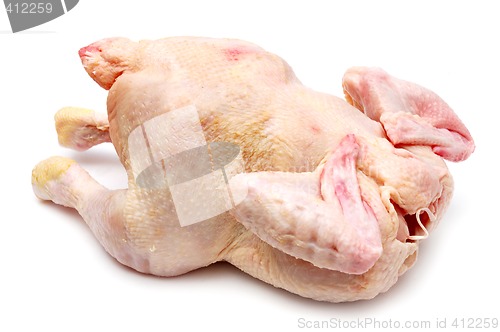 Image of Chicken