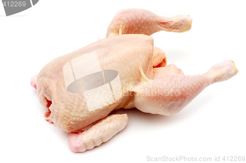 Image of Chicken