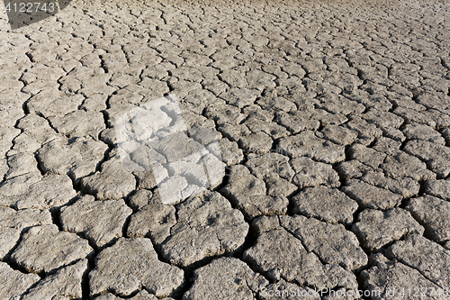 Image of Cracked soil surface of dried lake