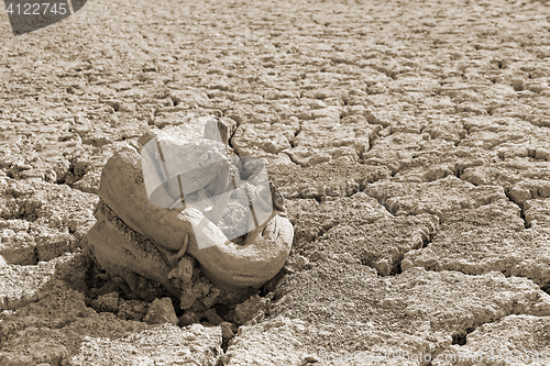 Image of Dry tree root on the dried soil, sepia