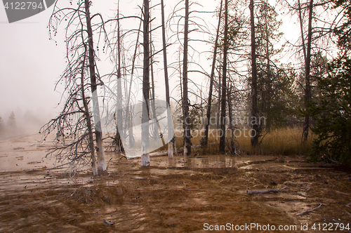 Image of Yellowstone National Park, Utah, USA