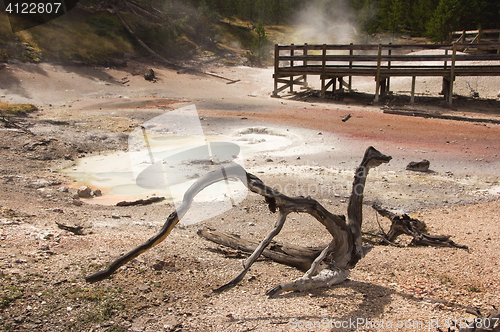 Image of Yellowstone National Park, Utah, USA