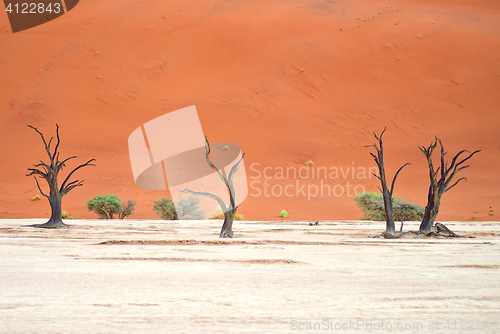 Image of Sossusvlei, Namibia