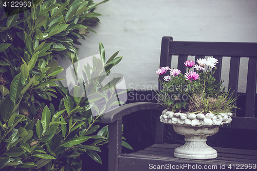 Image of Elegant flowerpot on a bench