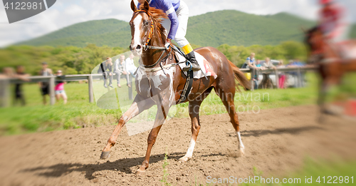 Image of racing horse portrait in action