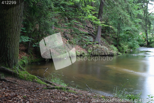 Image of czech forest