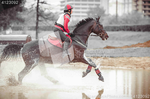 Image of Rider on a cross country horse overcomes water obstacle in the spray, monochrome art