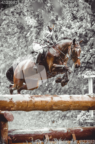 Image of Young woman jumps a horse during practice on cross country eventing course, duotone art