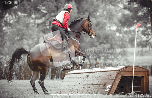 Image of Young woman jumps a horse during practice on cross country eventing course, duotone art