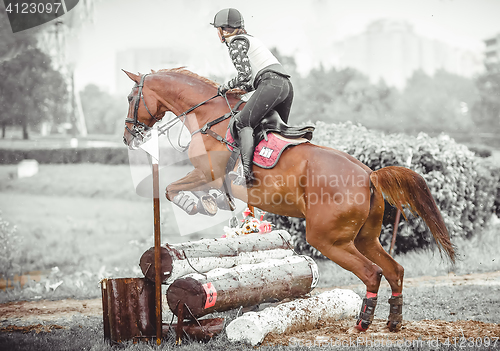 Image of Young woman jumps a horse during practice on cross country eventing course, duotone art