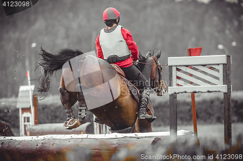 Image of Young woman jumps a horse during practice on cross country eventing course, duotone art