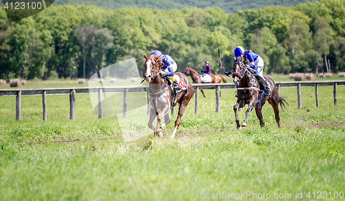 Image of two racing horse portrait in action