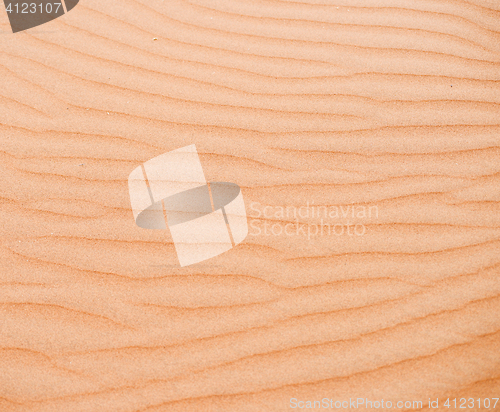 Image of sand dune background