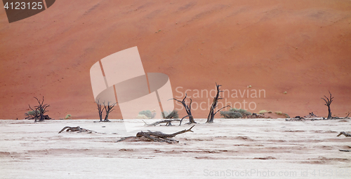 Image of Sossusvlei, Namibia