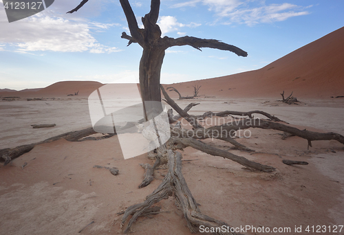 Image of Sossusvlei, Namibia