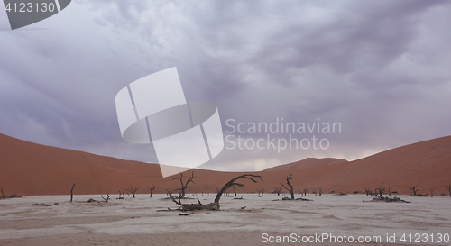 Image of Sossusvlei, Namibia