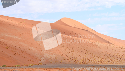 Image of sand dunes