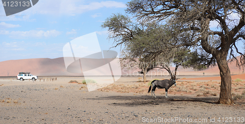 Image of namibian landscape