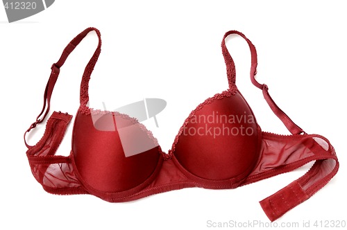 Image of Red bra