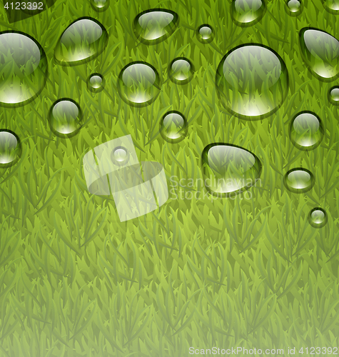 Image of Eco friendly background with water drops on fresh green grass te