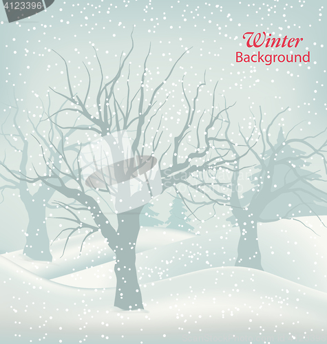 Image of Winter Outdoor Background