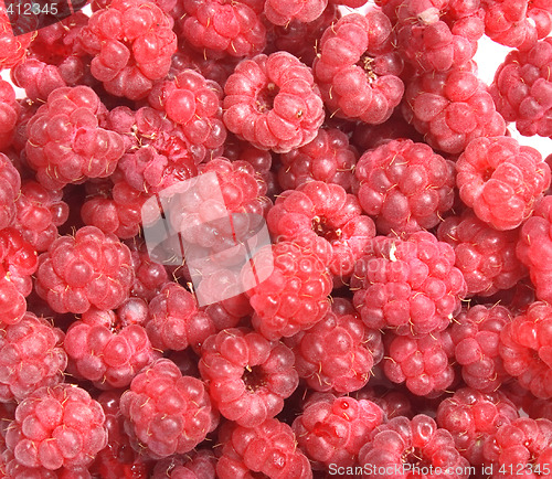 Image of raspberries