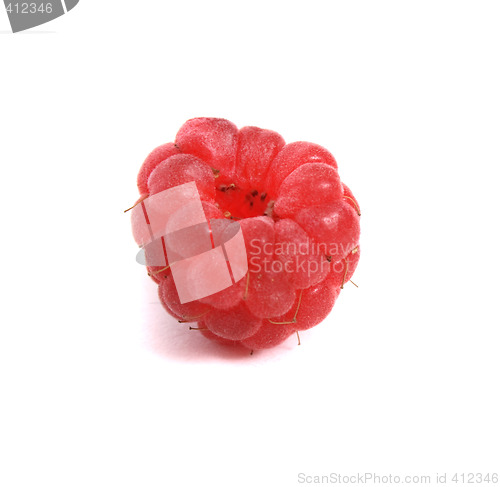 Image of raspberry